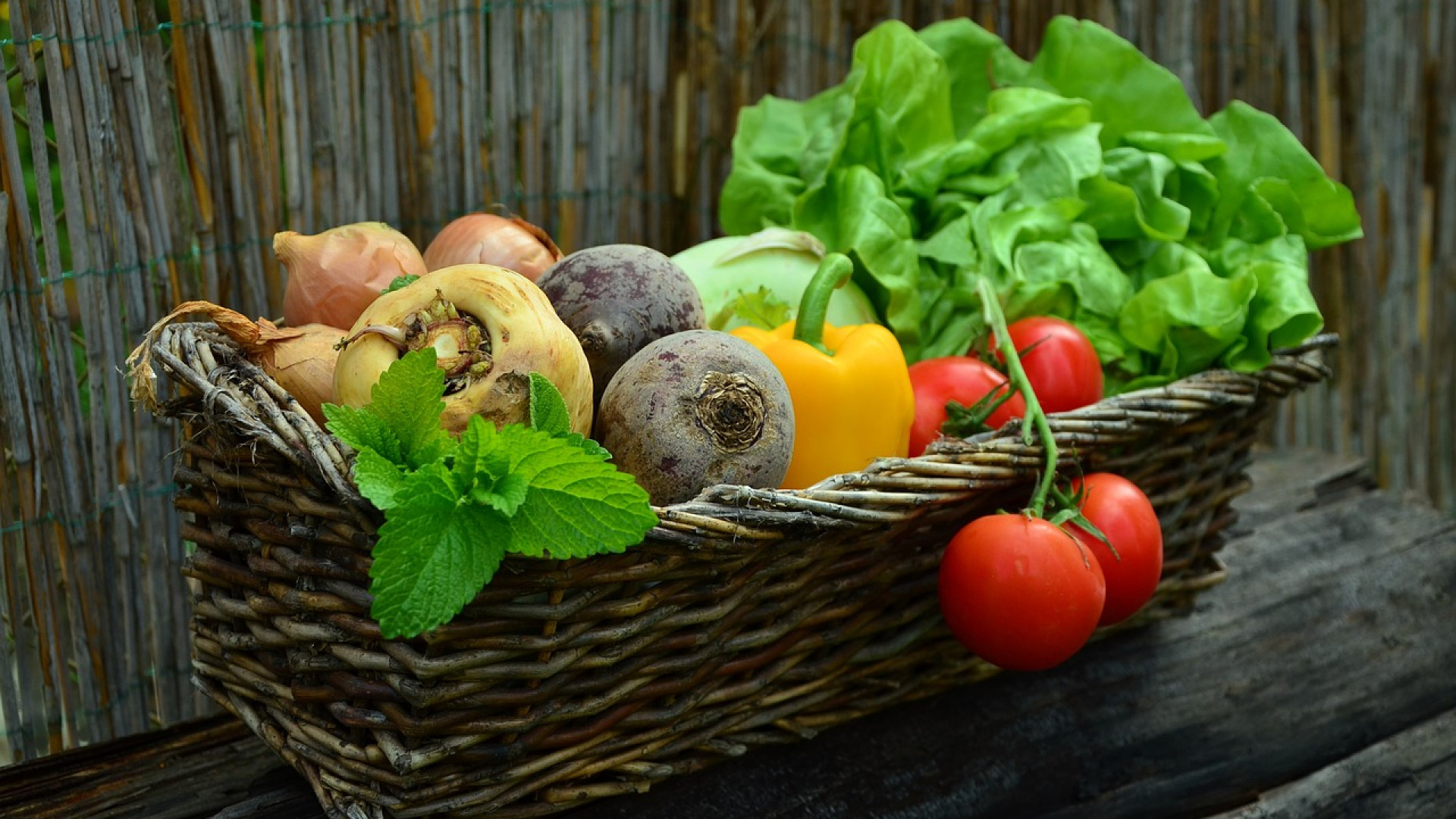Préservez votre santé grâce à l'agriculture biologique