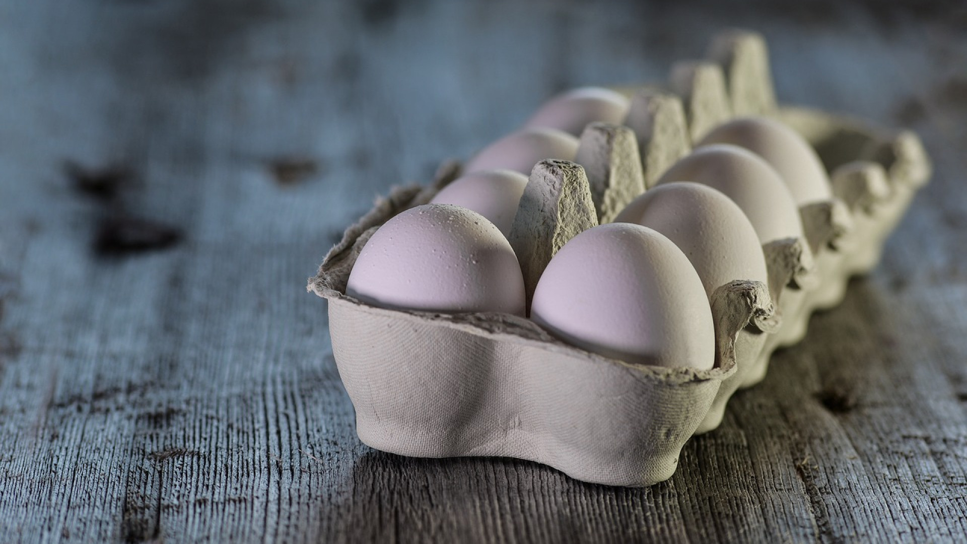 Les avantages des œufs frais pour les restaurateurs !